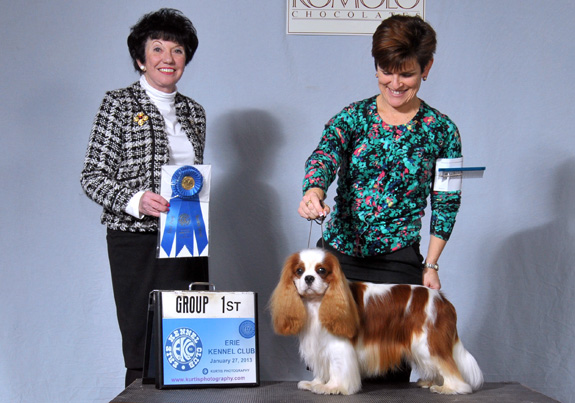 dogad11pix