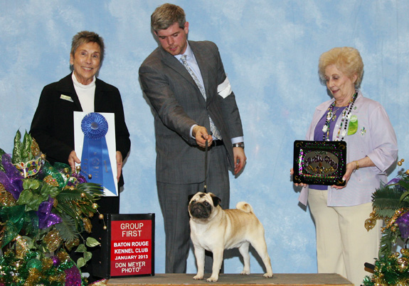 dogad13pix