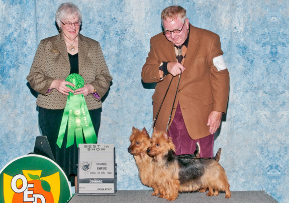 dogad16pix