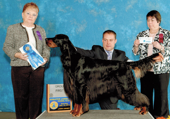 dogad19pix