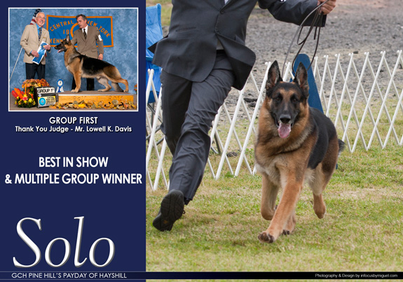 dogad04pix