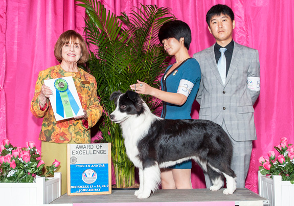 dogad06pix
