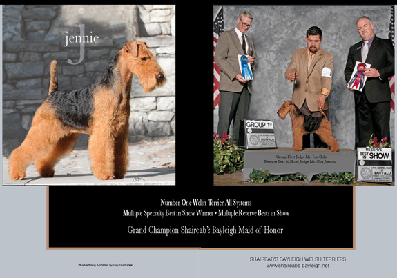 dogad03pix