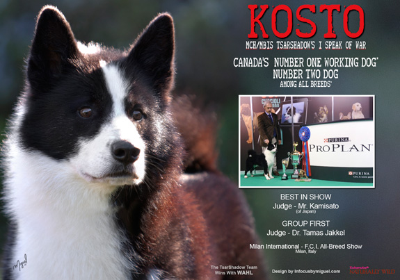 dogad04pix