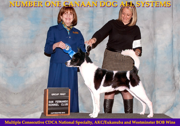 dogad01pix