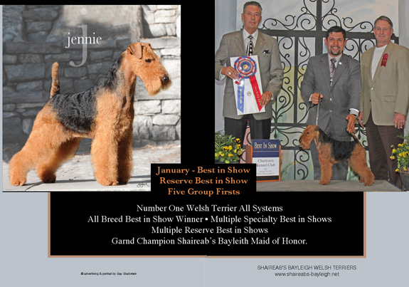 dogad05pix