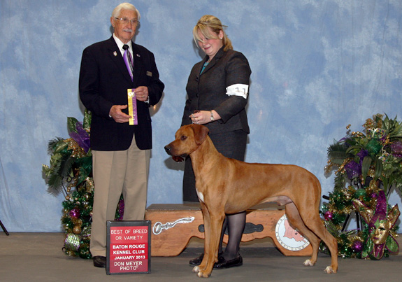 dogad08pix