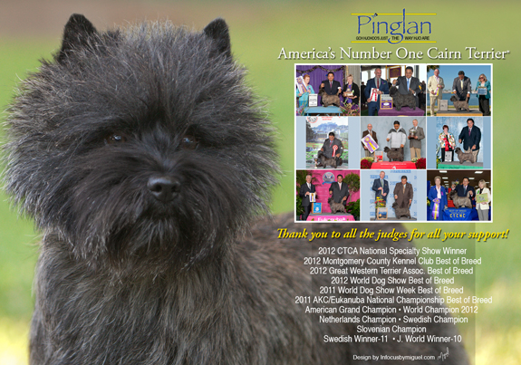 dogad05pix