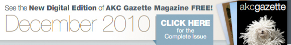 Gazette Digital Edition