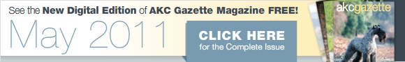 Gazette Digital Edition
