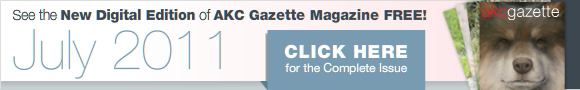 Gazette Digital Edition