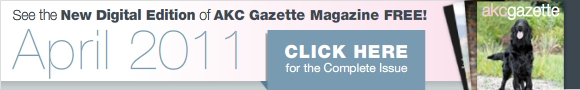Gazette Digital Edition