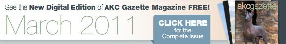 Gazette Digital Edition