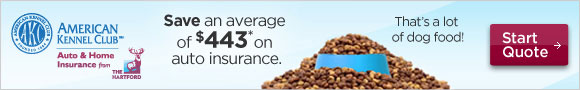 Save an average of $443 on auto insurance with The Hartford. Start your quote.