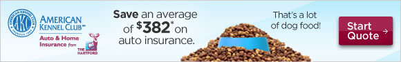 Save an average of $382 with Hartford. Get your quote.