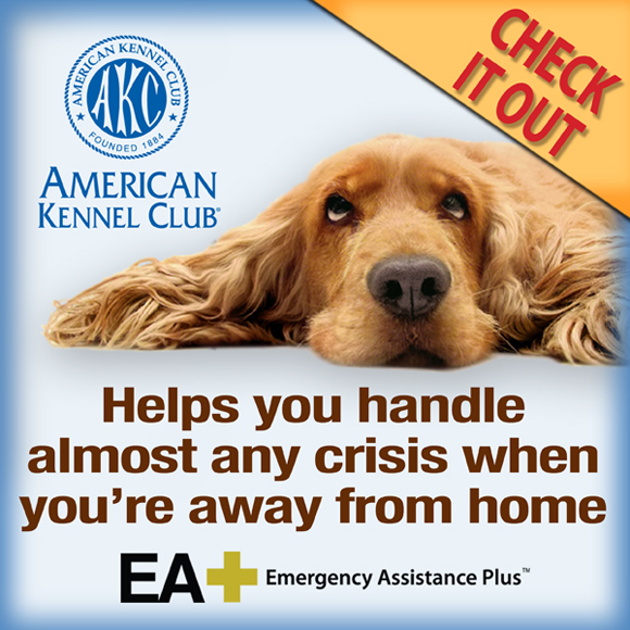 EA Plus. Helps you handle almost any crisis when you're away from home.