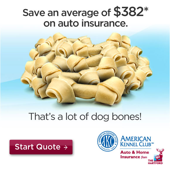 The Hartford. Save an average $382 on car insurance. Start quote.