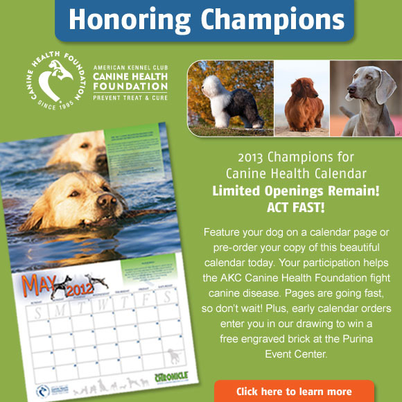 2013 Champions Canine Health Calendar. Limited supply. Act fast!