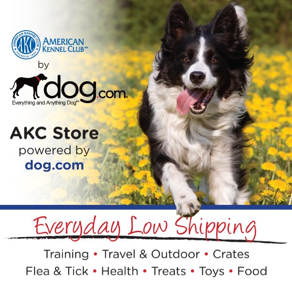 20% Off at dog.com