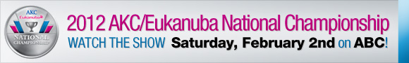 Watch the AKC Eukanuba National Championship on Saturday, Feb 2 on ABC