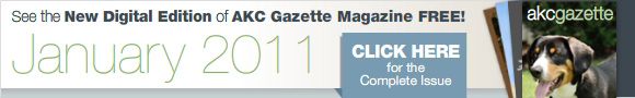 Gazette Digital Edition