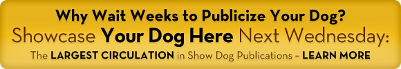 Click Here to see Your Dog in this spot