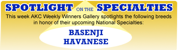 Spotlight On the Specialties