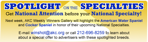 Spotlight On the Specialties