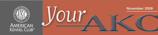YourAKC: November 2009