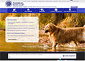 new site
