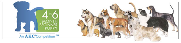 4 to 6 Month Puppy Beginner Competition