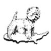West Highland White Terrier Club of America