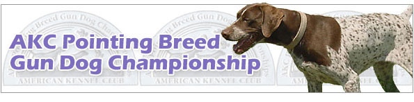 AKC Pointing Breed Gun Dog Championship