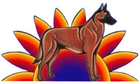 American Belgian Malinois Club