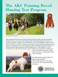 The AKC Pointing Breed Hunting Test Program