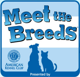 Meet the Breeds