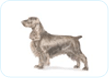 Field Spaniel