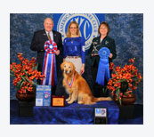 Obedience Champions