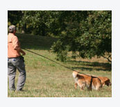AKC Tracking