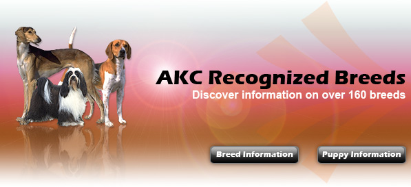 Discover Information on over 160 Breeds.