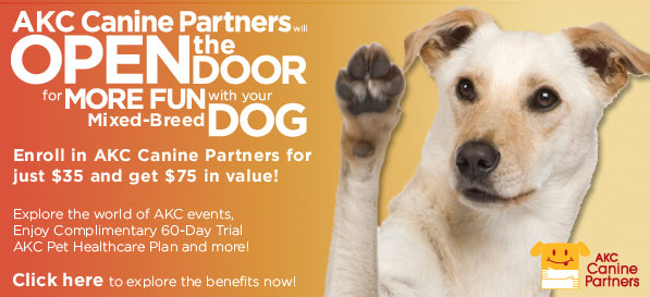 AKC Canine Partners