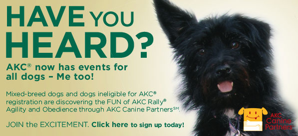 AKC Canine Partners