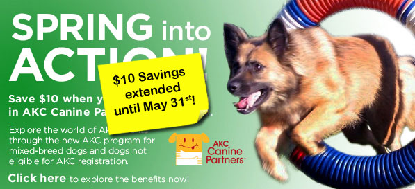AKC Canine Partners