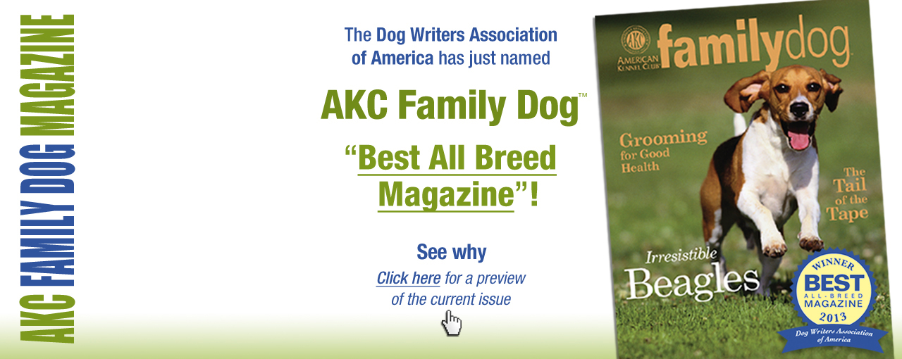 American Kennel Club