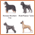 AKC Registered Breeds