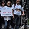 View the Columbus Day Parade Slideshow