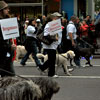 View the Columbus Day Parade Slideshow