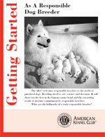 Getting Started As A Responsible Dog Breeder