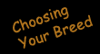 Choosing Your Breed Worksheet