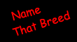 Name That Breed
